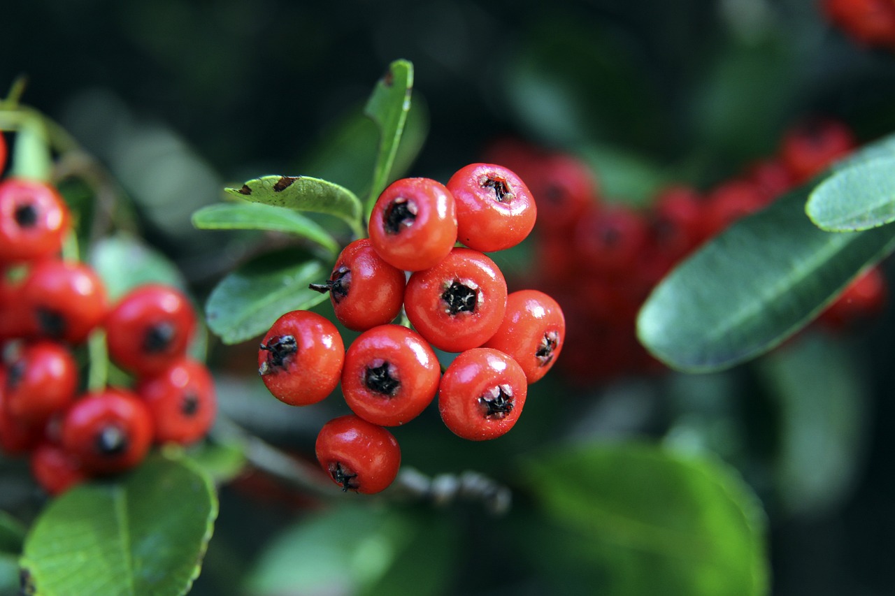 回顾往期比 回顾往期比