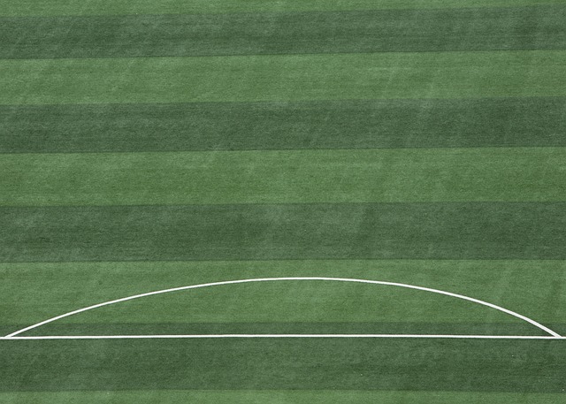 斯状态不佳 斯状态不佳