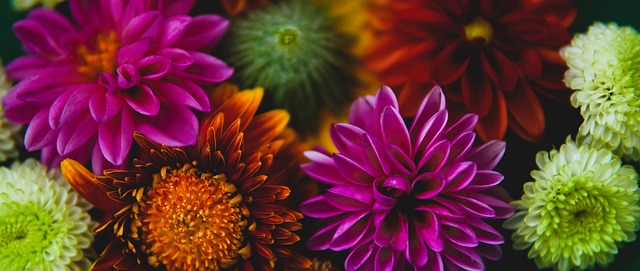 的情况下 的情况下