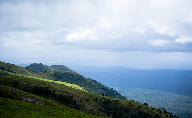 轮比赛中仅 轮比赛中仅