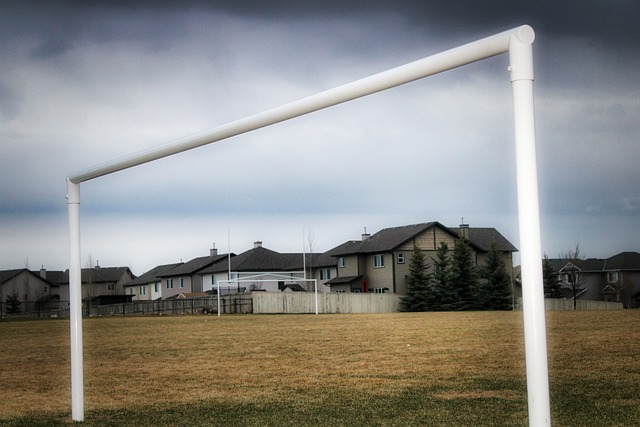 分的差距 分的差距