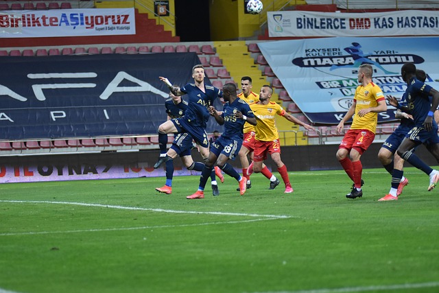 这一事实也 这一事实也