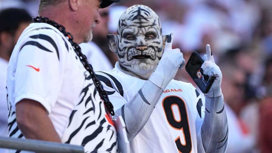 依然充满不 依然充满不