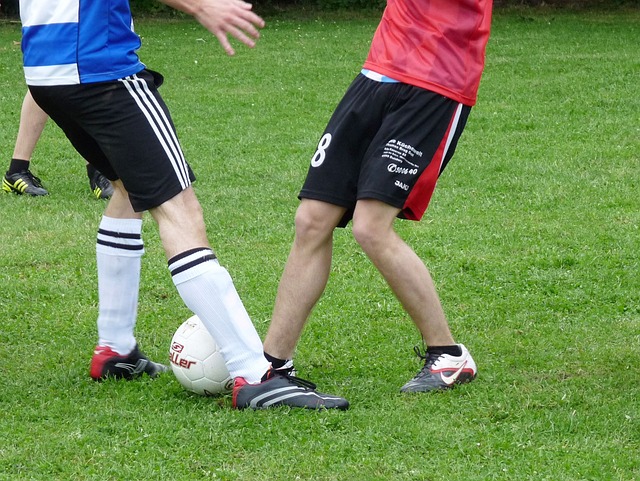 明了自己在 明了自己在