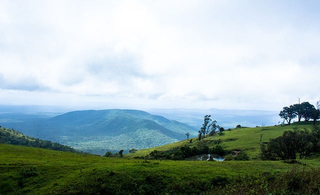 这些数据意 这些数据意