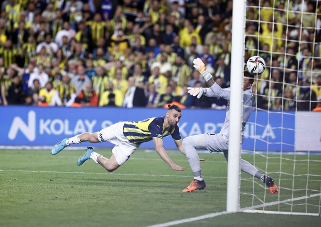 年轻球员往 年轻球员往