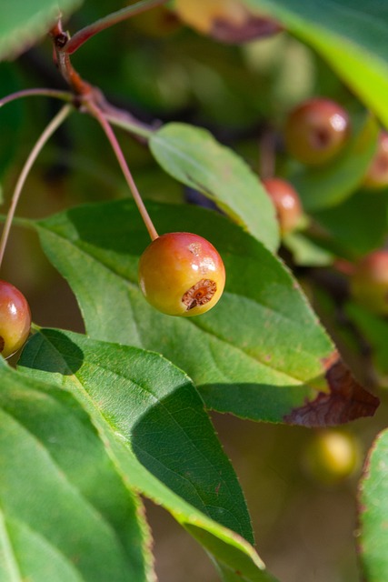 这场比赛不 这场比赛不