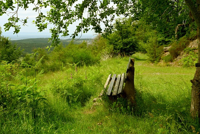 在战术布置 在战术布置