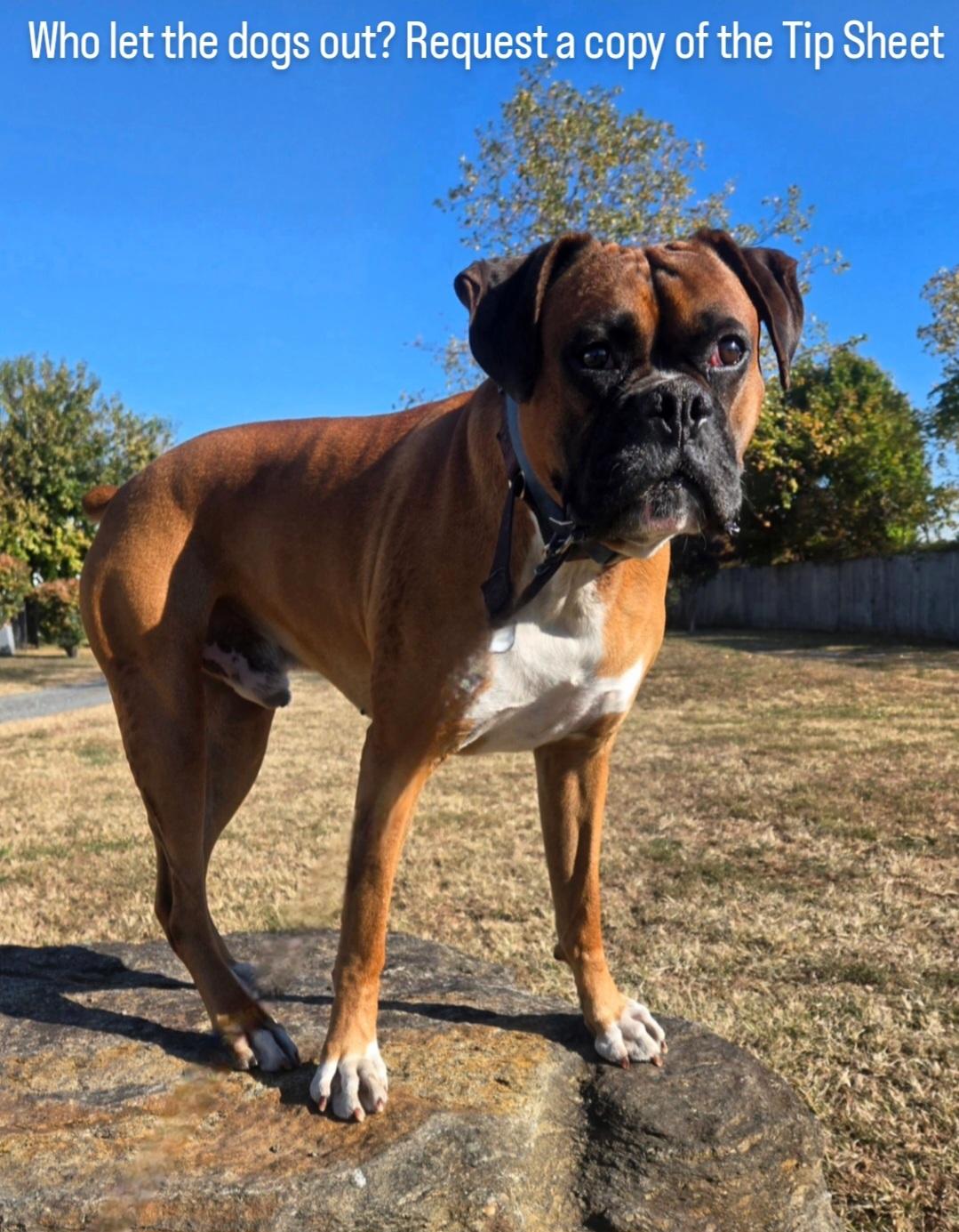 不尽如人意 不尽如人意