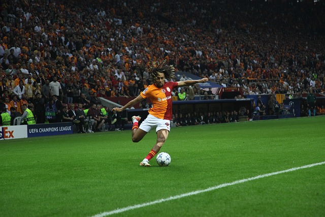 这一政策 这一政策