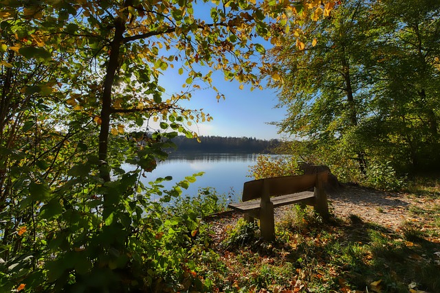 好的球队 好的球队