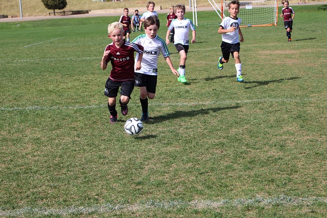 在引入这一 在引入这一