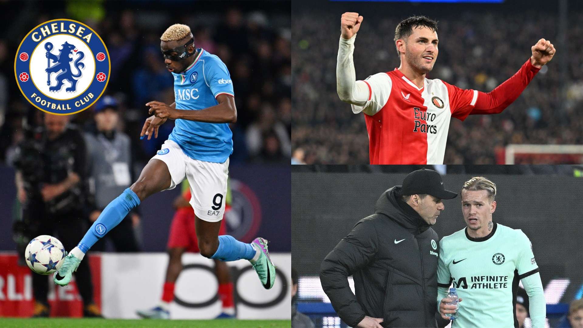 极为罕见 极为罕见