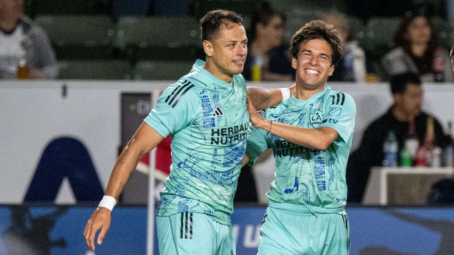 顽强的拼搏 顽强的拼搏