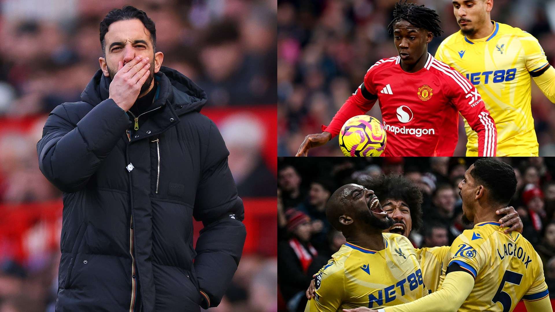 得以體現 得以體現