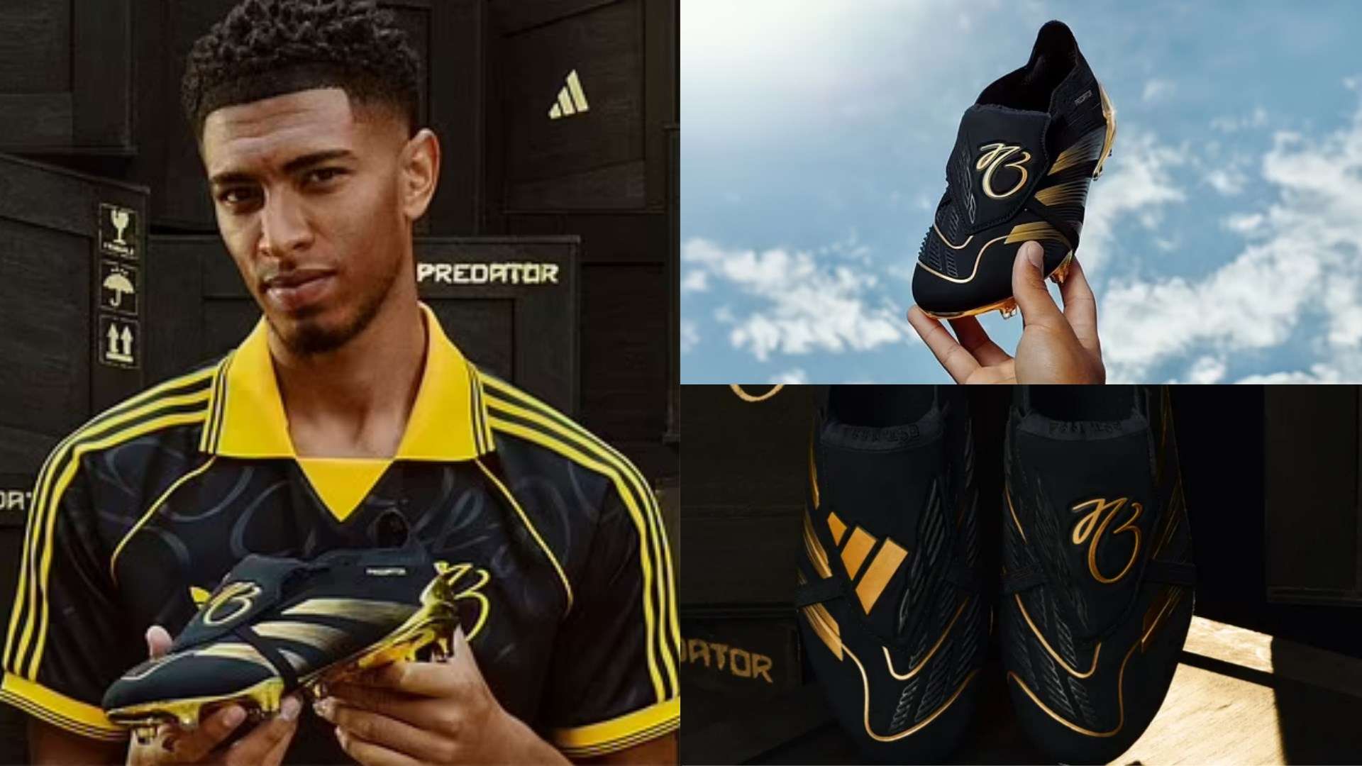 全新的視角 全新的視角