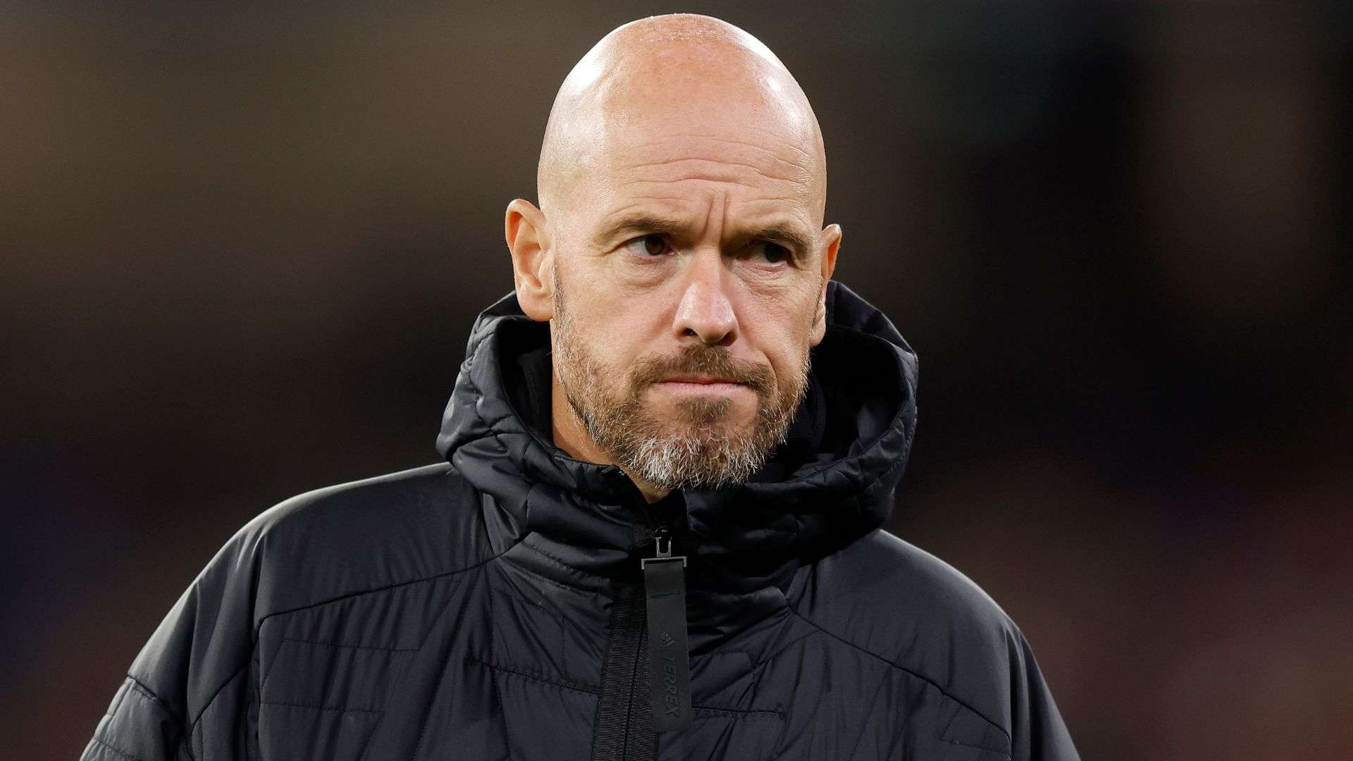 动无不展现 动无不展现