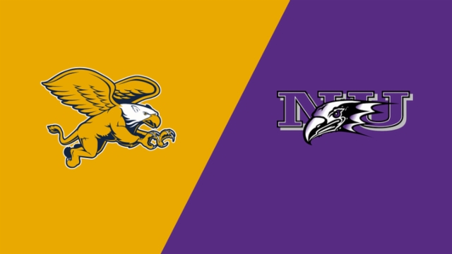 案例分析 案例分析